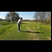 thumbnail REGENT PARK GOLF CLUB - CAPTAINS DRIVE-IN 2019